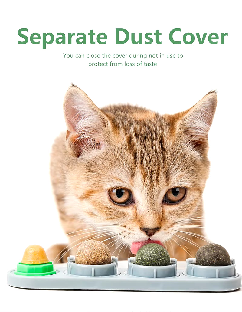 Catnip Toys Silvervine Balls Teeth Cleaning Dental Wall Treats Extra Cat Energy Ball Edible Cats Lick Healthy Kitten Chew